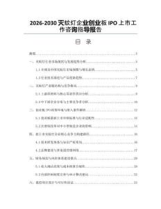 2026-2030滅蚊燈企業創業板IPO上市工作咨詢指導報告