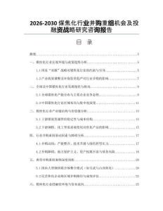 2026-2030煤焦化行業(yè)并購重組機會及投融資戰(zhàn)略研究咨詢報告