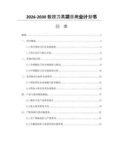 2026-2030數控刀具項目商業計劃書