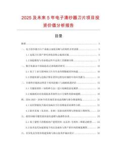 2025及未來(lái)5年電子清紗器刀片項(xiàng)目投資價(jià)值分析報(bào)告