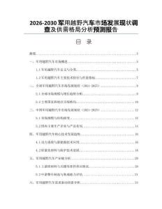 2026-2030軍用越野汽車市場發(fā)展現(xiàn)狀調(diào)查及供需格局分析預(yù)測(cè)報(bào)告