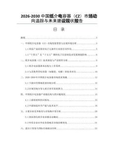 2026-2030中國(guó)紙介電容器（CZ）市場(chǎng)動(dòng)向追蹤與未來(lái)建設(shè)現(xiàn)狀報(bào)告