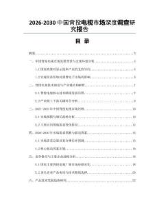 2026-2030中國背投電視市場深度調(diào)查研究報告