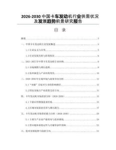 2026-2030中國卡車發(fā)動(dòng)機(jī)行業(yè)供需狀況及發(fā)展趨勢(shì)前景研究報(bào)告