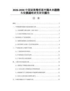 2026-2030中國磁簧傳感器市場未來趨勢與投資戰(zhàn)略研究研究報告
