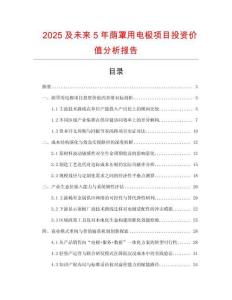 2025及未來5年蔭罩用電極項目投資價值分析報告