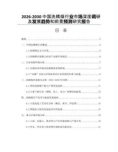 2026-2030中國(guó)洗精煤行業(yè)市場(chǎng)深度調(diào)研及發(fā)展趨勢(shì)和前景預(yù)測(cè)研究報(bào)告
