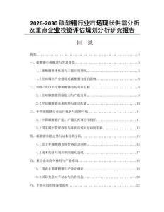 2026-2030碳酸鐠行業(yè)市場現(xiàn)狀供需分析及重點企業(yè)投資評估規(guī)劃分析研究報告