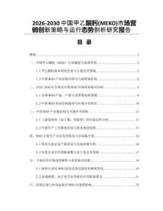 2026-2030中國甲乙酮肟(MEKO)市場營銷創(chuàng)新策略與運行態(tài)勢剖析研究報告