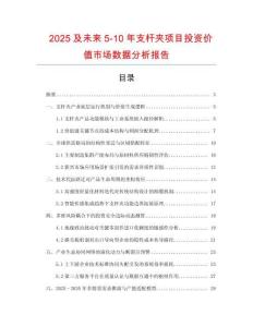 2025及未來5-10年支桿夾項目投資價值市場數據分析報告