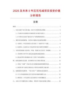 2025及未來5年壓花毛絨項目投資價值分析報告