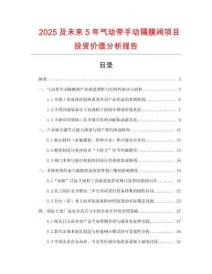 2025及未來5年氣動帶手動隔膜閥項目投資價值分析報告