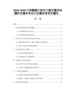 2026-2030中国电动打磨机行业市场深度调研及竞争格局与投资前景研究报告