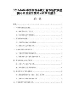 2026-2030中國解凍系統行業市場發展趨勢與前景展望戰略分析研究報告