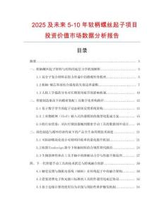 2025及未來5-10年軟柄螺絲起子項目投資價值市場數(shù)據(jù)分析報告