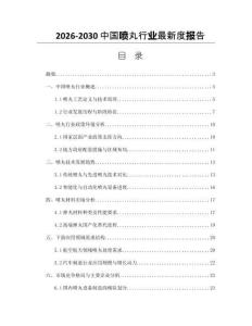 2026-2030中國噴丸行業最新度報告