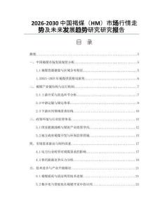 2026-2030中國褐煤（HM）市場行情走勢及未來發(fā)展趨勢研究研究報告