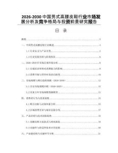 2026-2030中國男式高腰皮鞋行業(yè)市場發(fā)展分析及競爭格局與投資前景研究報告