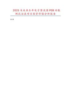 2025及未來5年電子整流器PCB功能測試治具項目投資價值分析報告