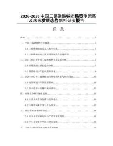 2026-2030中國三偏磷酸鈉市場競爭策略及未來發展態勢剖析研究報告