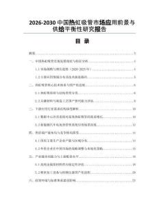 2026-2030中國熱虹吸管市場應用前景與供給平衡性研究報告