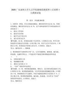 2025廣東深圳大學人文學院謝曉霞教授博士后招聘1人模擬試卷精編答案詳解