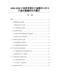2026-2030中國酵素飲料行業(yè)競爭分析與行業(yè)投資戰(zhàn)略研究報告