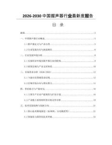 2026-2030中國握聲器行業(yè)最新度報告