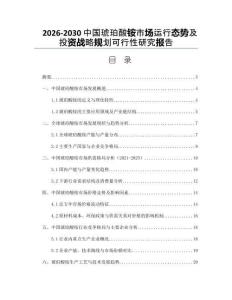 2026-2030中國琥珀酸銨市場運行態(tài)勢及投資戰(zhàn)略規(guī)劃可行性研究報告