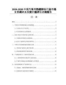 2026-2030中國(guó)汽車用熱鍍鋅板行業(yè)市場(chǎng)全景調(diào)研及投資價(jià)值評(píng)估咨詢報(bào)告