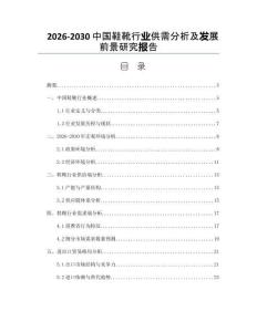 2026-2030中國鞋靴行業供需分析及發展前景研究報告