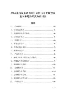 2026年保暖毛絨內里針織靴行業發展現狀及未來趨勢研究分析報告