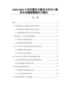 2026-2030中國野營房市場需求格局與發展前景趨勢預測研究報告