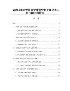 2026-2030滅蚊燈企業創業板IPO上市工作咨詢指導報告