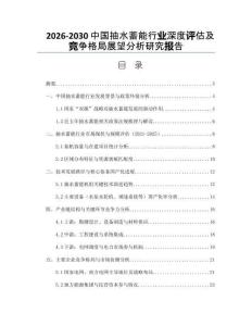2026-2030中國(guó)抽水蓄能行業(yè)深度評(píng)估及競(jìng)爭(zhēng)格局展望分析研究報(bào)告