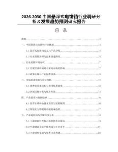 2026-2030中國(guó)懸浮式電餅鐺行業(yè)調(diào)研分析及發(fā)展趨勢(shì)預(yù)測(cè)研究報(bào)告