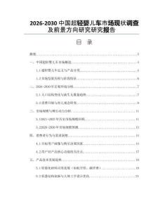 2026-2030中國超輕嬰兒車市場現狀調查及前景方向研究研究報告