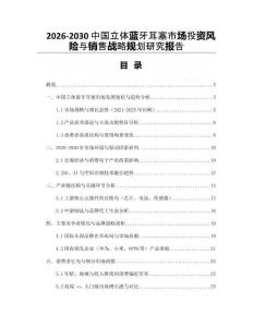 2026-2030中國立體藍牙耳塞市場投資風險與銷售戰略規劃研究報告