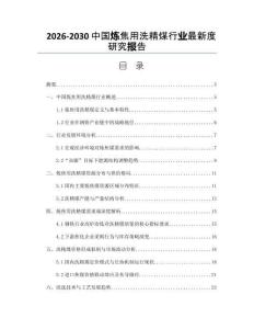 2026-2030中國煉焦用洗精煤行業(yè)最新度研究報告