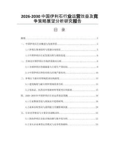 2026-2030中國伊利石行業運營效益及競爭策略展望分析研究報告