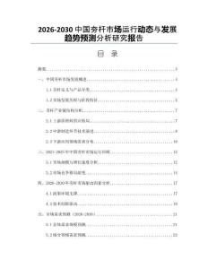2026-2030中國夯桿市場運(yùn)行動態(tài)與發(fā)展趨勢預(yù)測分析研究報告