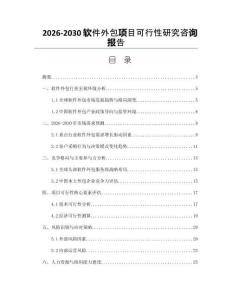 2026-2030軟件外包項目可行性研究咨詢報告