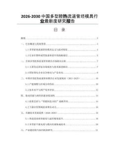 2026-2030中國多型腔熱流道管坯模具行業最新度研究報告