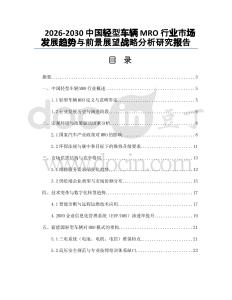 2026-2030中國輕型車輛MRO行業(yè)市場發(fā)展趨勢與前景展望戰(zhàn)略分析研究報告