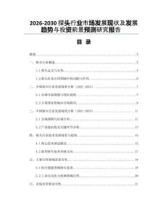 2026-2030探頭行業(yè)市場發(fā)展現(xiàn)狀及發(fā)展趨勢與投資前景預測研究報告