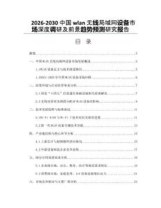 2026-2030中國wlan無線局域網(wǎng)設(shè)備市場深度調(diào)研及前景趨勢預(yù)測研究報告