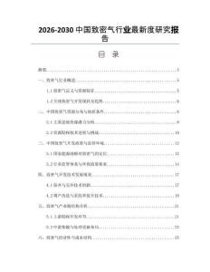 2026-2030中國致密氣行業最新度研究報告