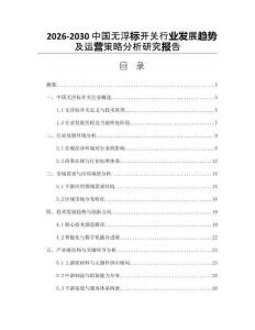 2026-2030中國無浮標開關行業發展趨勢及運營策略分析研究報告