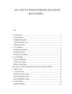 2025-2030汽車零部件供應(yīng)鏈管理行業(yè)運(yùn)營效率市場競爭分析報(bào)告