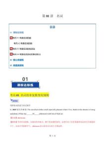 第01講 名詞（專(zhuān)項(xiàng)訓(xùn)練）（全國(guó)通用）（解析版）-A4